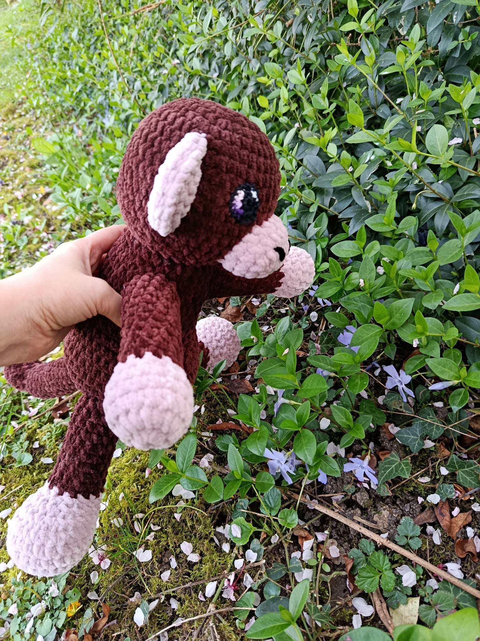 Aster _ Le singe affectueux _ brun et bois de rose