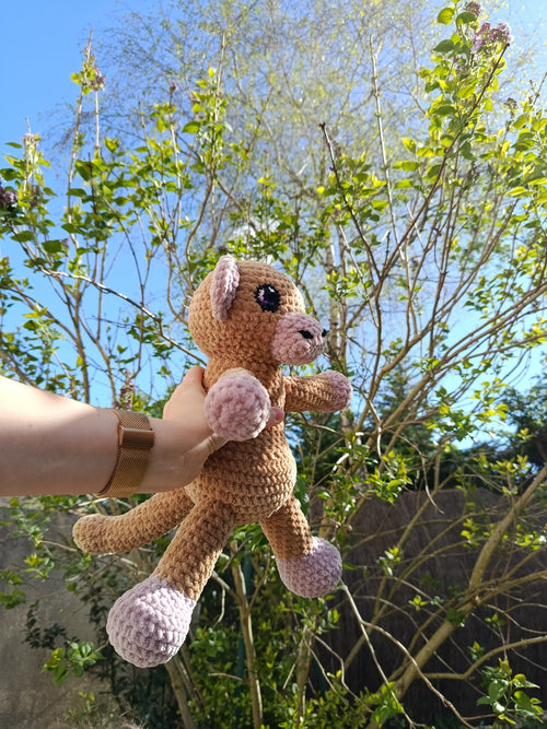 Aster _ Le singe affectueux _ beige et bois de rose