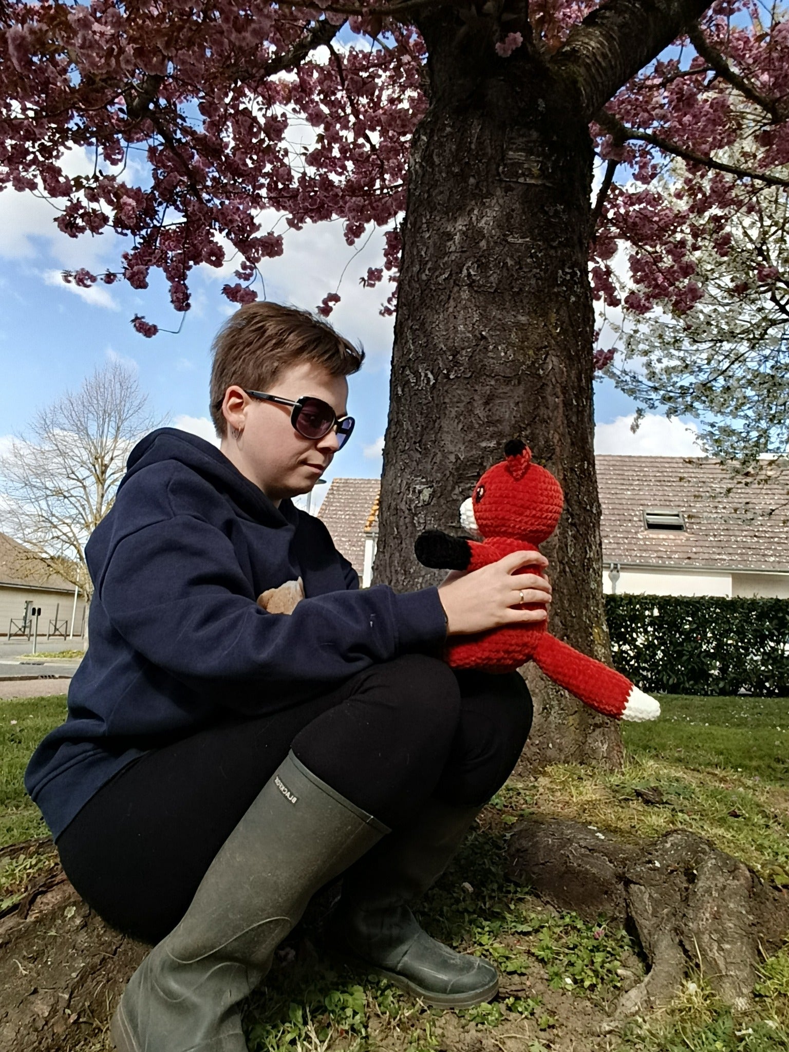 Hélios – Renard Coquin _ coloris réalistes