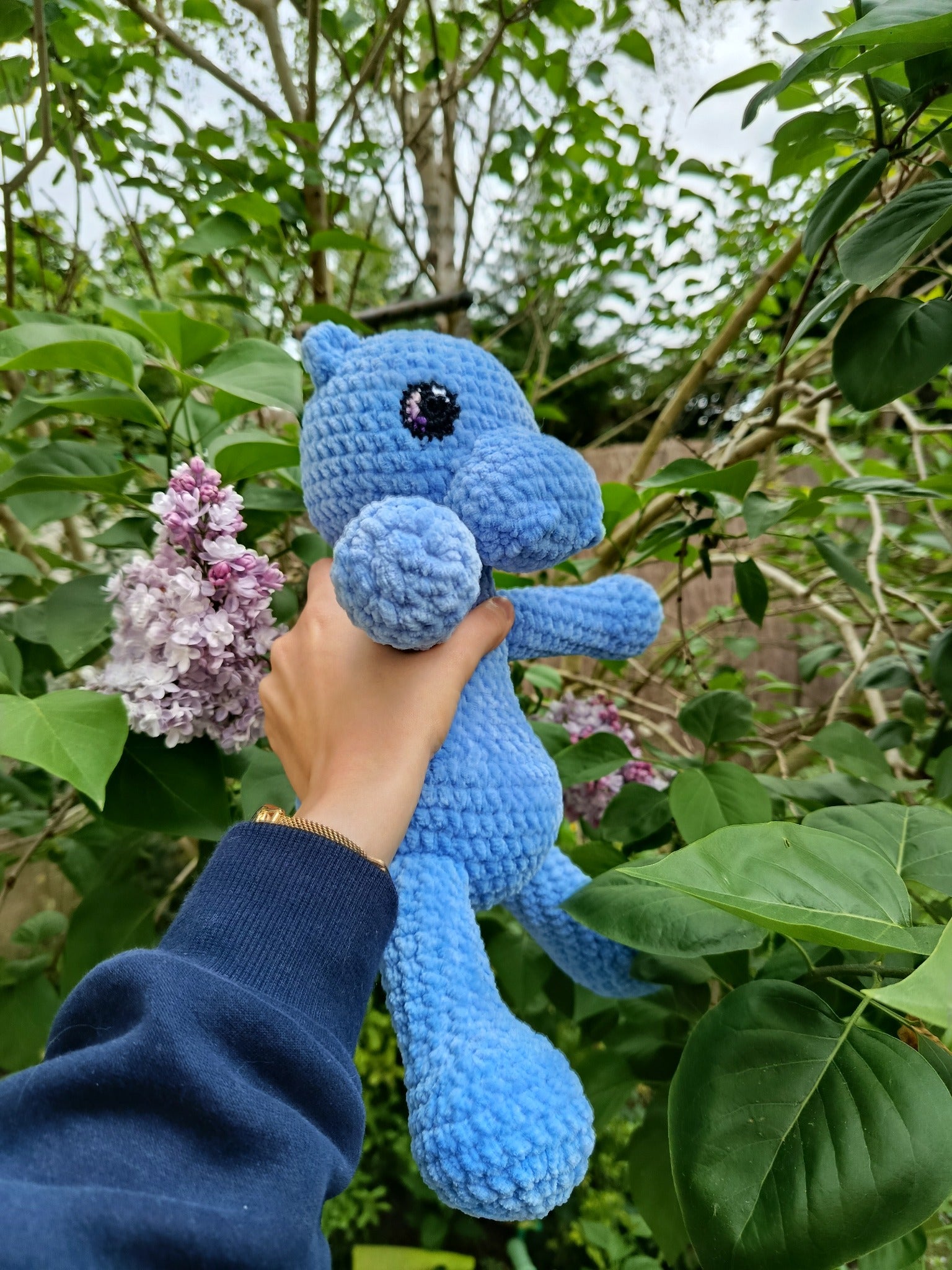 Cosmos - Hippo tranquille _  bleu outremer