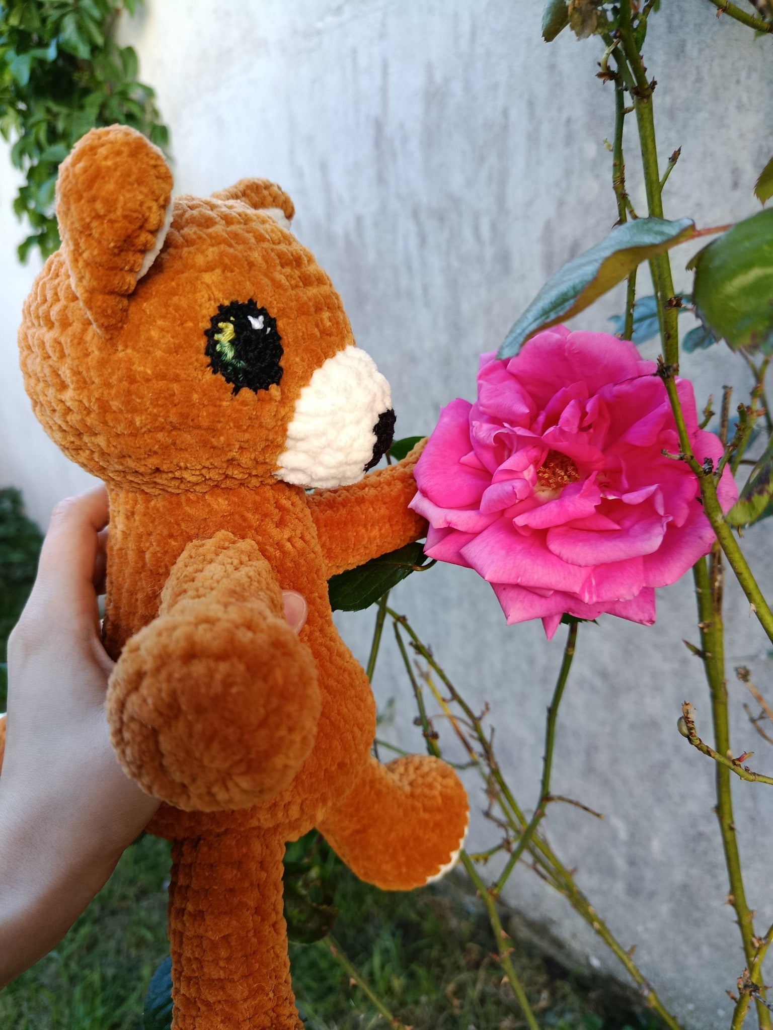 Hélios – Renard Coquin _ Rouille et crème