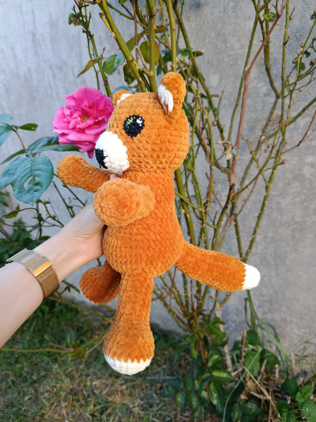 Hélios – Renard Coquin _ Rouille et crème