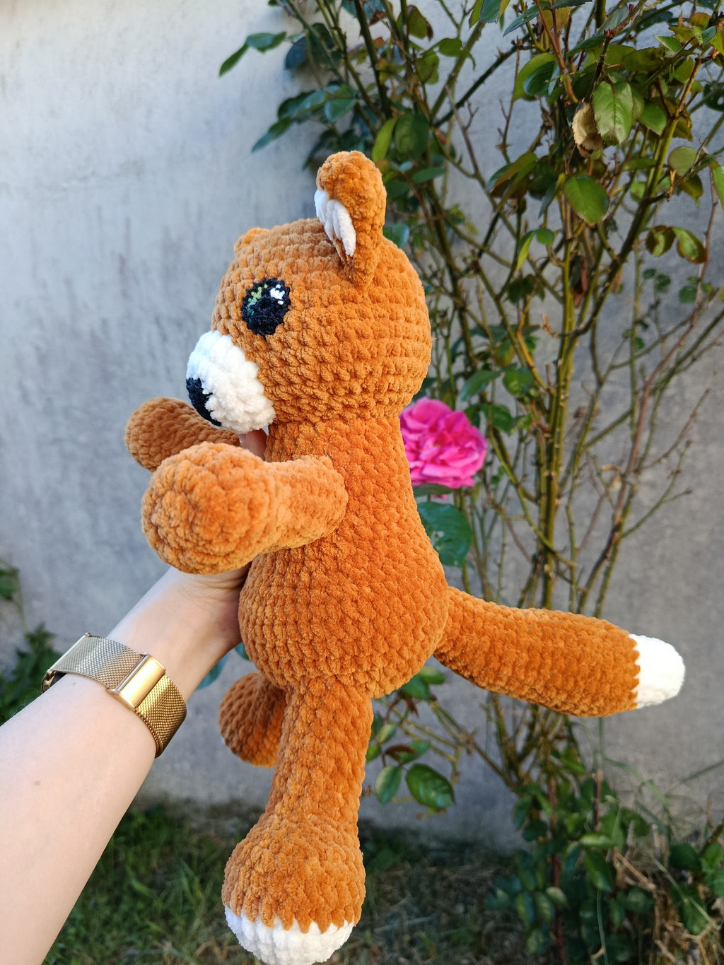 Hélios – Renard Coquin _ Rouille et crème