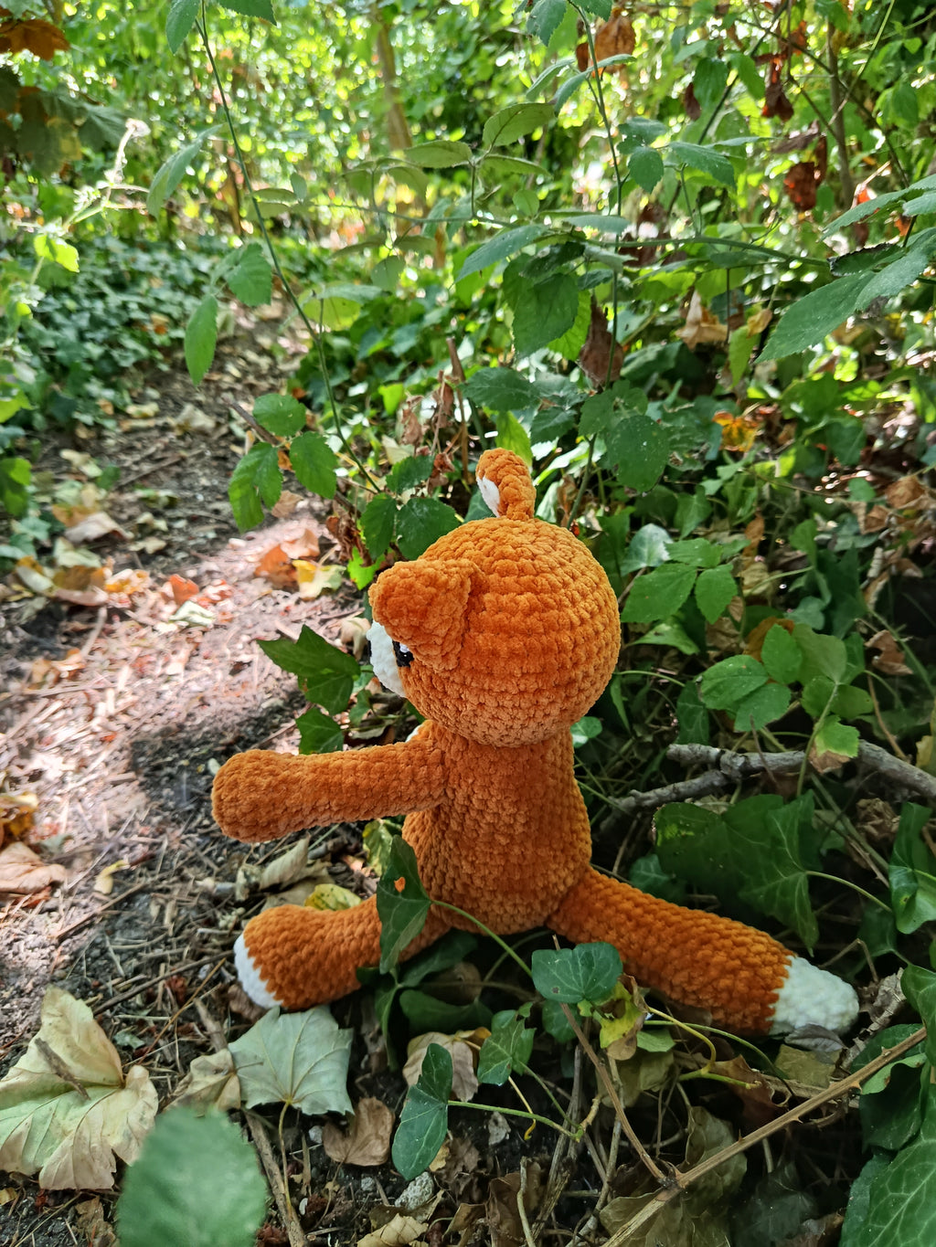 Hélios – Renard Coquin _ Rouille et crème