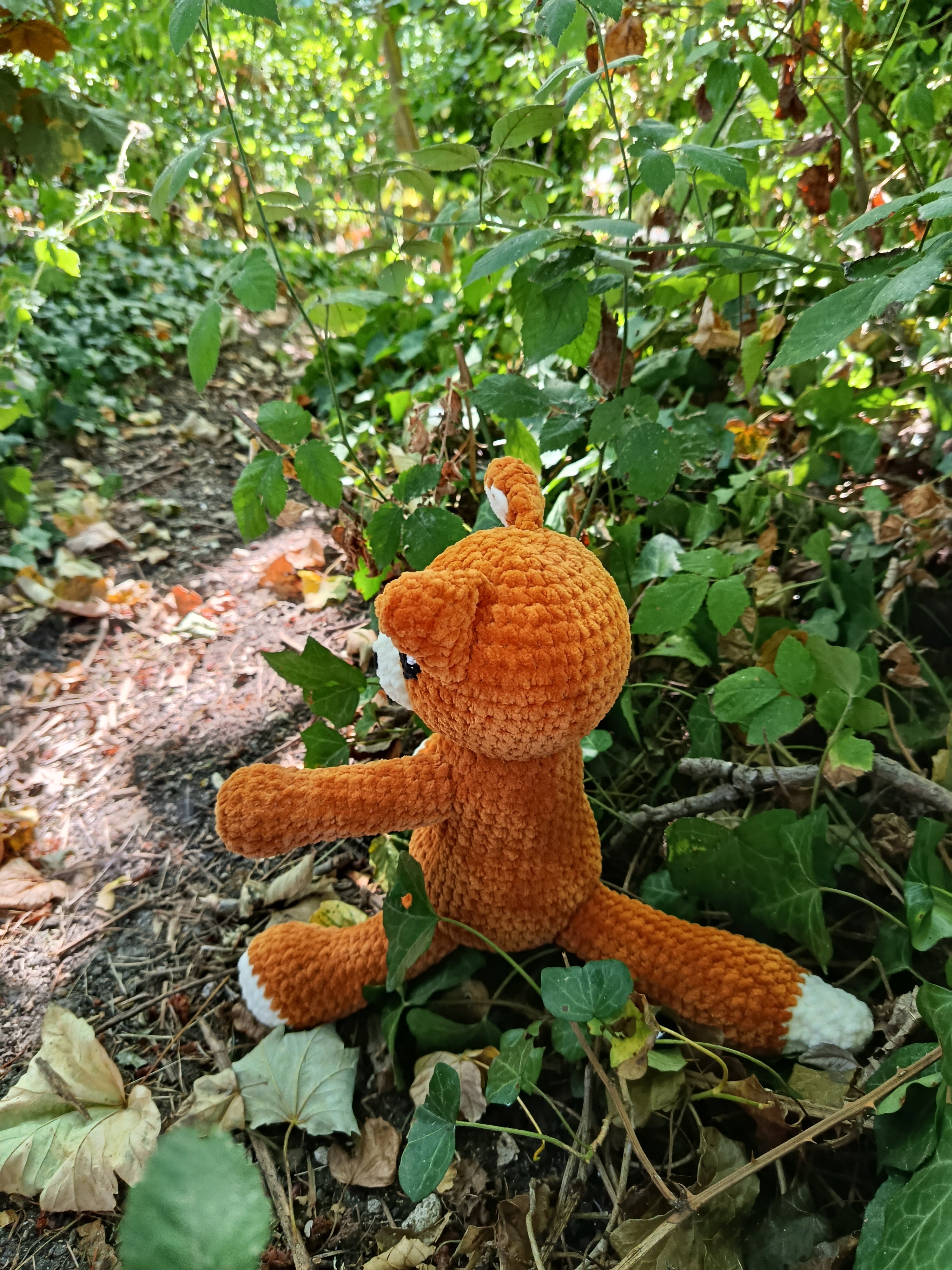 Hélios – Renard Coquin _ Rouille et crème