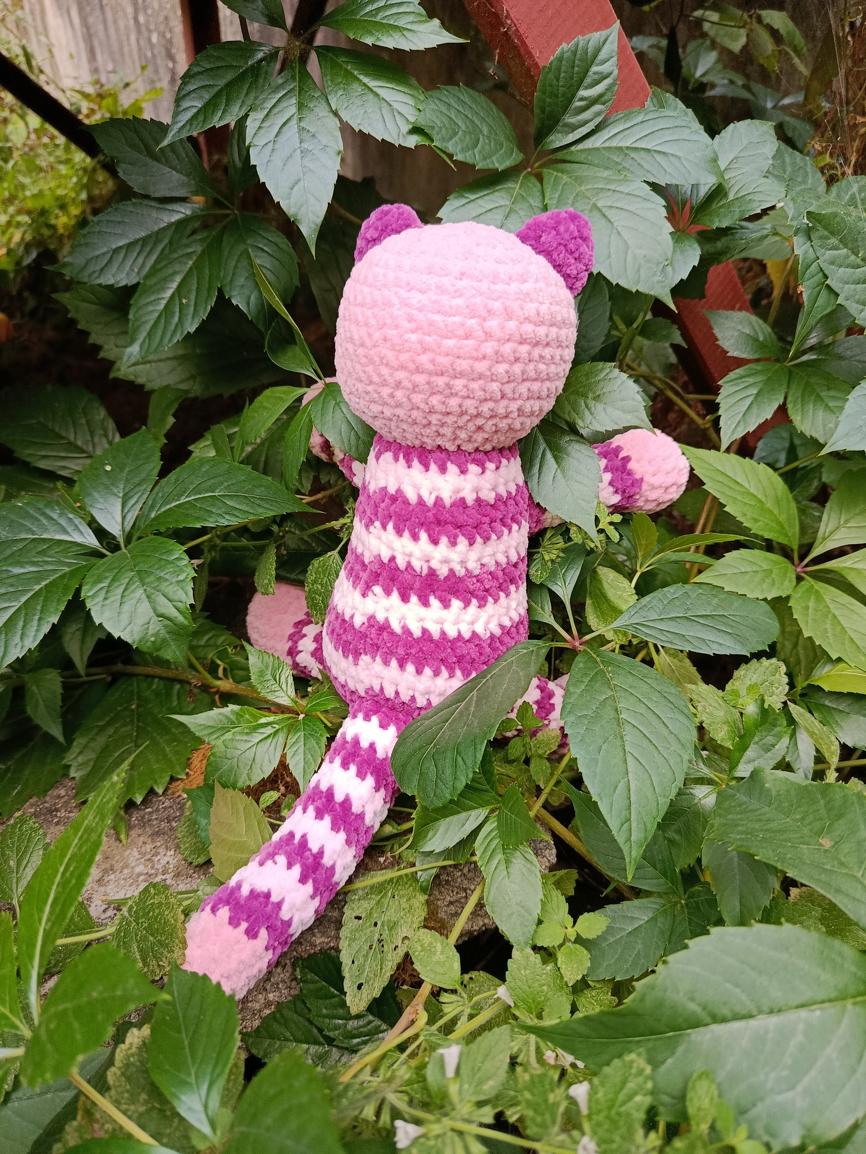 Sélène – Chatonne coquette (inspiration Chat du Cheshire)