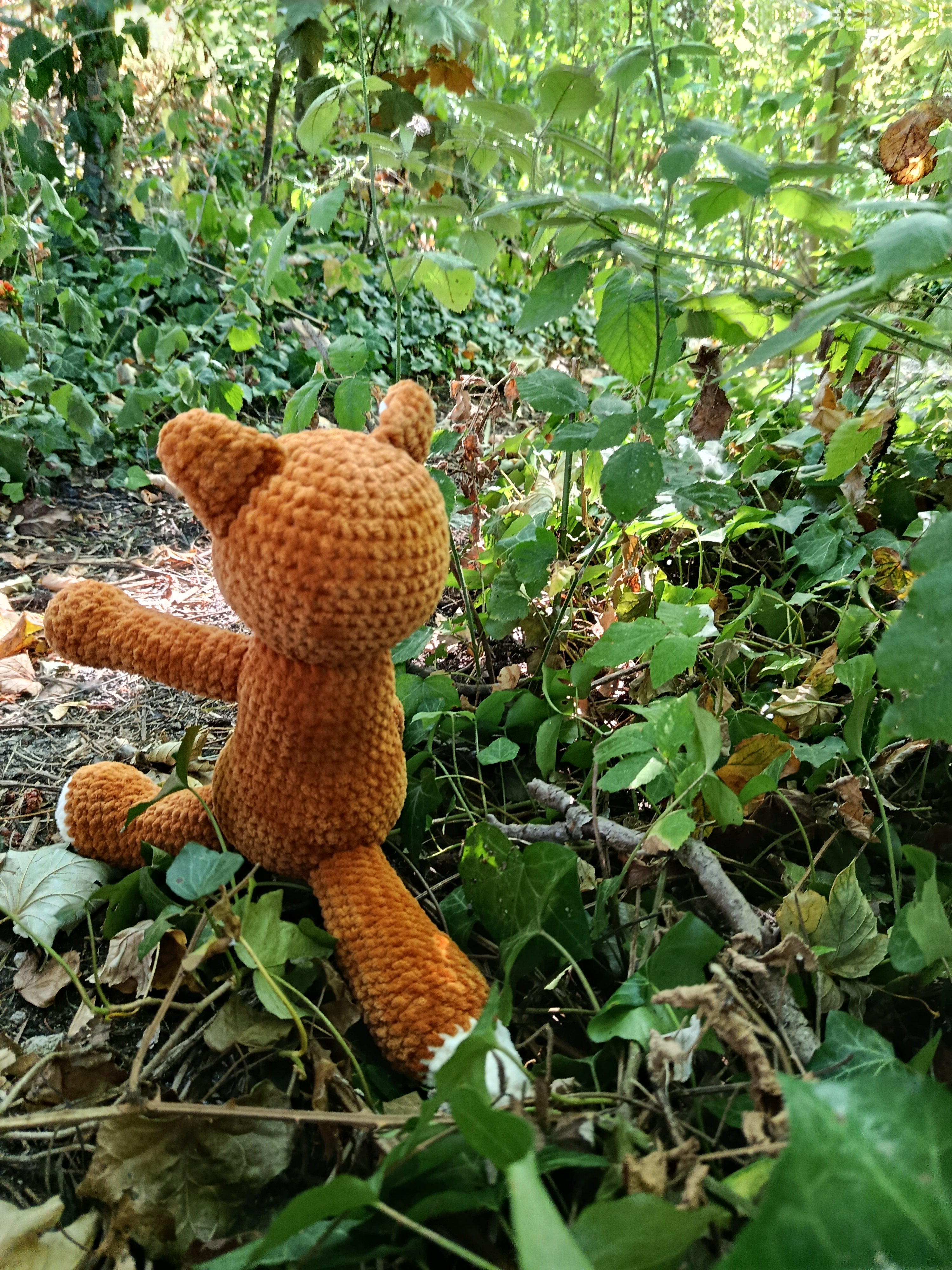 Hélios – Renard Coquin _ Rouille et crème